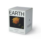 Scented Candle Earth
