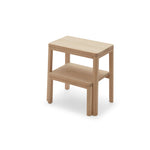 Noboru Step Ladder, Skagerak