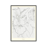 Japanese Iris Art Print