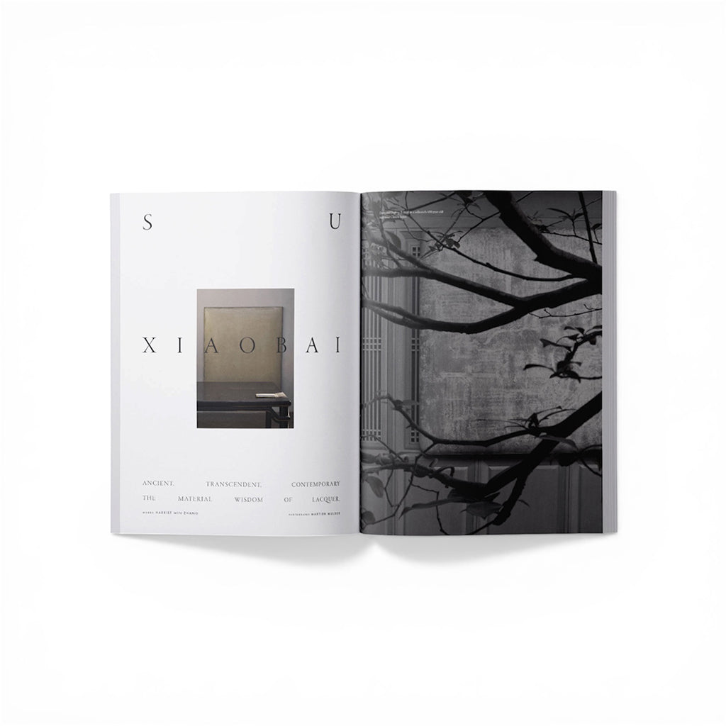 Ark Journal Volume 15, Ark Journal Magazine
