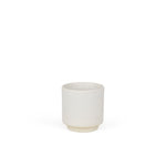 Otto Cup, Frama