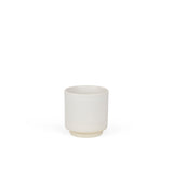 Otto Cup, Frama