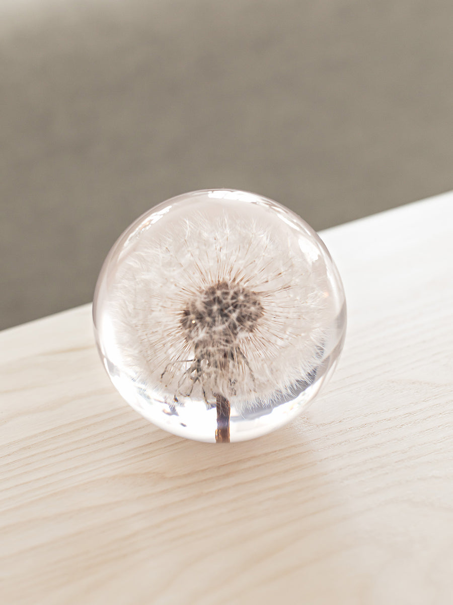 Dandelion Paperweight, Hafod Grange The Fine Store