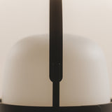 Cestita Alubat, Santa & Cole