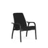 Laminett Easy Chair Full Black, Swedese