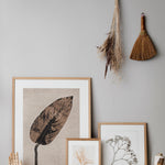 Calathea Caramel Limited Edition Print, Pernille Folcarelli