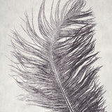 Grey Feather Limited Edition Print, Pernille Folcarelli